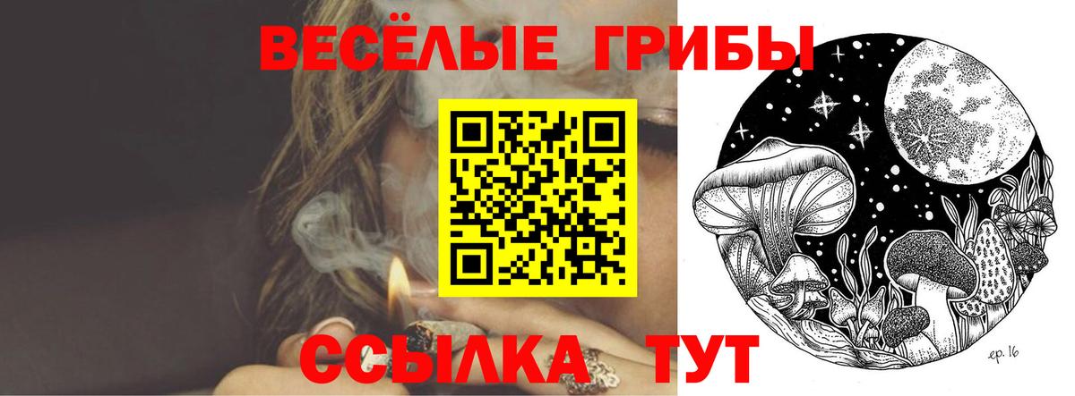 Псилоцибиновые грибы Cubensis Междуреченск