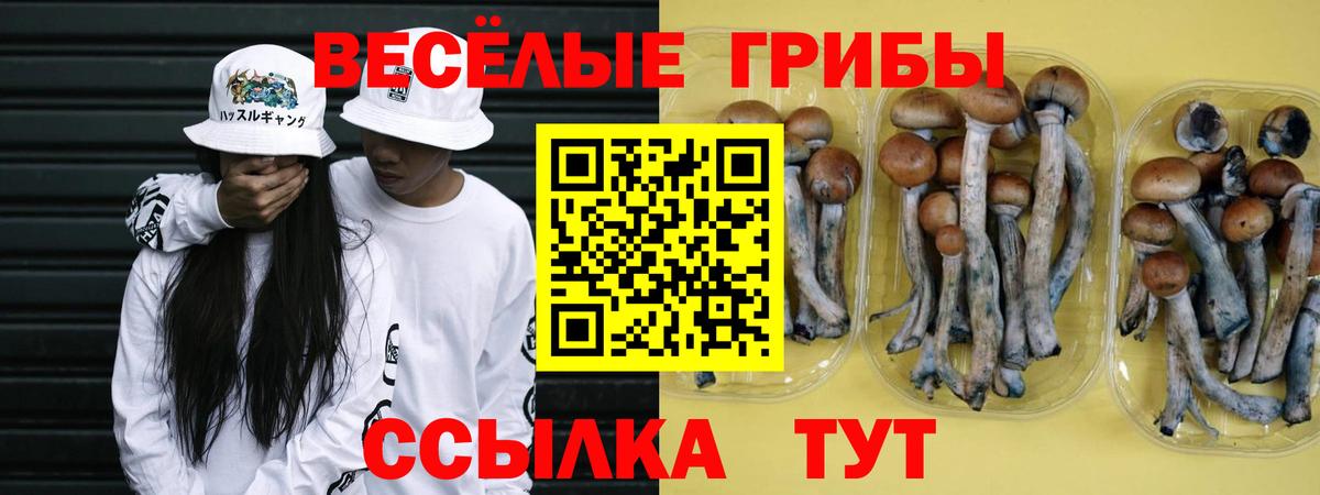 Псилоцибиновые грибы MAGIC MUSHROOMS  Галлюциногенные грибы ЛСД  Междуреченск  Вход с VPN 